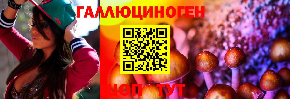 Псилоцибиновые грибы MAGIC MUSHROOMS Рубцовск